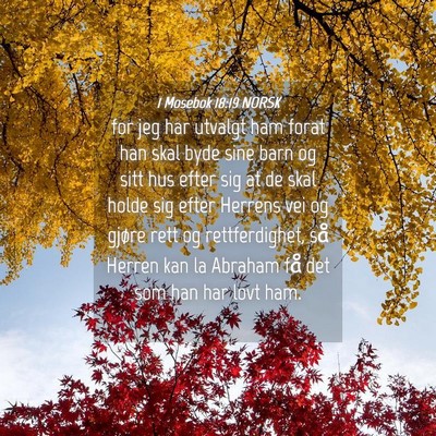 Picture 04 - 1 Mosebok 18:19 NORSK - for jeg har utvalgt ham forat han skal byde sine - Bible Verse Picture