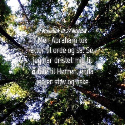 Picture 04 - 1 Mosebok 18:27 NORSK - Men Abraham tok atter til orde og sa: Se, jeg har - Bible Verse Picture
