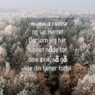 Picture 04 - 1 Mosebok 18:3 NORSK - og sa: Herre! Dersom jeg har funnet nåde for - Bible Verse Picture
