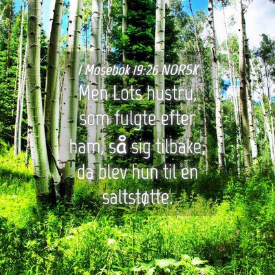 Picture 04 - 1 Mosebok 19:26 NORSK - Men Lots hustru, som fulgte efter ham, så sig - Bible Verse Picture