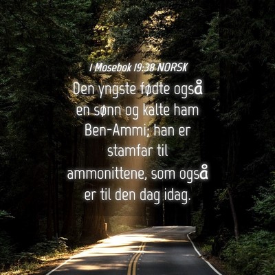Picture 04 - 1 Mosebok 19:38 NORSK - Den yngste fødte også en sønn og kalte ham - Bible Verse Picture