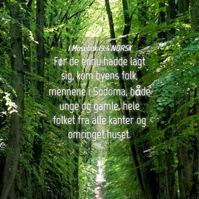 Picture 04 - 1 Mosebok 19:4 NORSK - Før de ennu hadde lagt sig, kom byens folk, - Bible Verse Picture
