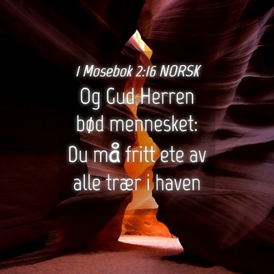 Picture 04 - 1 Mosebok 2:16 NORSK - Og Gud Herren bød mennesket: Du må fritt ete av - Bible Verse Picture