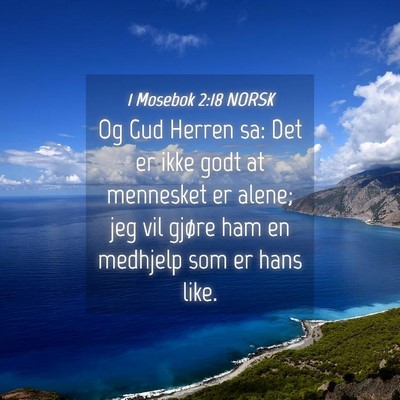 Picture 04 - 1 Mosebok 2:18 NORSK - Og Gud Herren sa: Det er ikke godt at mennesket - Bible Verse Picture