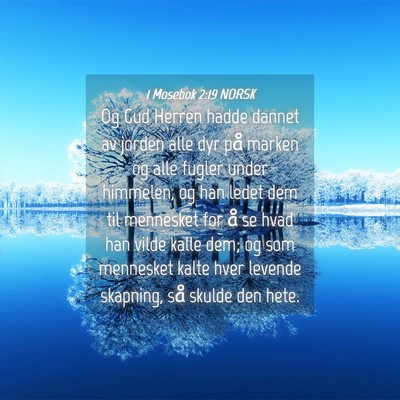 Picture 04 - 1 Mosebok 2:19 NORSK - Og Gud Herren hadde dannet av jorden alle dyr på - Bible Verse Picture