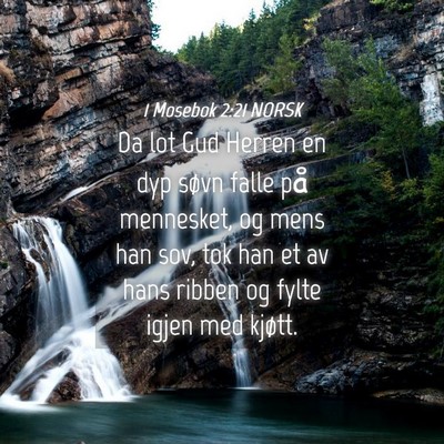 Picture 04 - 1 Mosebok 2:21 NORSK - Da lot Gud Herren en dyp søvn falle på - Bible Verse Picture