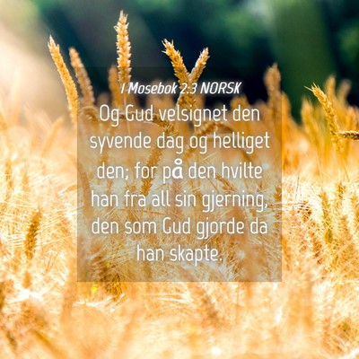 Picture 04 - 1 Mosebok 2:3 NORSK - Og Gud velsignet den syvende dag og helliget den; - Bible Verse Picture