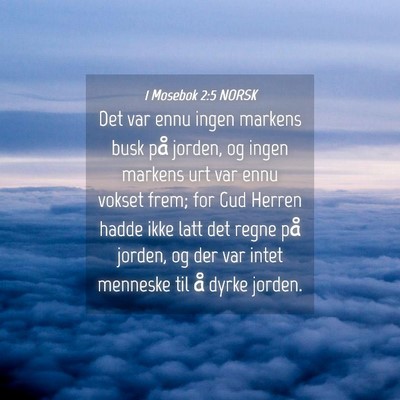 Picture 04 - 1 Mosebok 2:5 NORSK - Det var ennu ingen markens busk på jorden, og - Bible Verse Picture