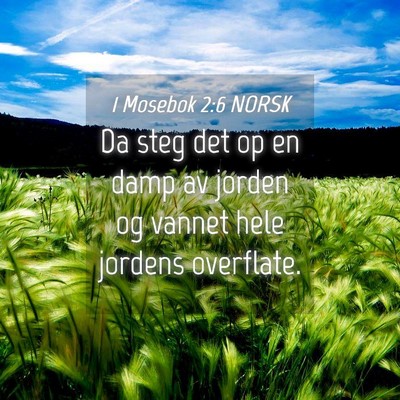 Picture 04 - 1 Mosebok 2:6 NORSK - Da steg det op en damp av jorden og vannet hele - Bible Verse Picture