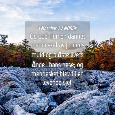 Picture 04 - 1 Mosebok 2:7 NORSK - Og Gud Herren dannet mennesket av jordens muld og - Bible Verse Picture
