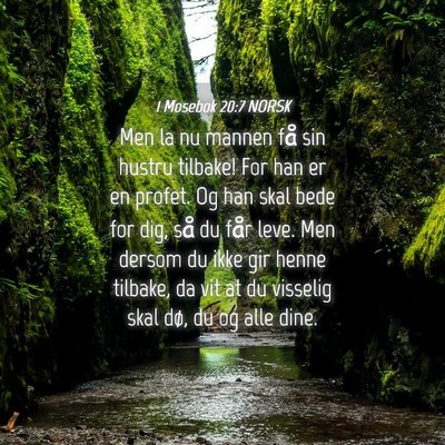 Picture 04 - 1 Mosebok 20:7 NORSK - Men la nu mannen få sin hustru tilbake! For han - Bible Verse Picture