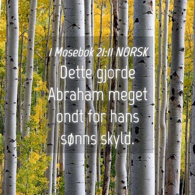 Picture 04 - 1 Mosebok 21:11 NORSK - Dette gjorde Abraham meget ondt for hans sønns - Bible Verse Picture