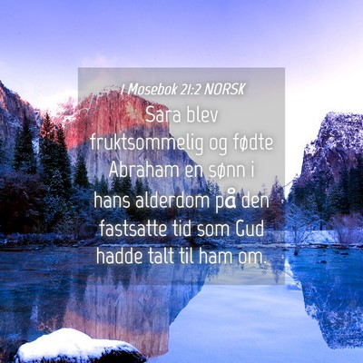 Picture 04 - 1 Mosebok 21:2 NORSK - Sara blev fruktsommelig og fødte Abraham en - Bible Verse Picture