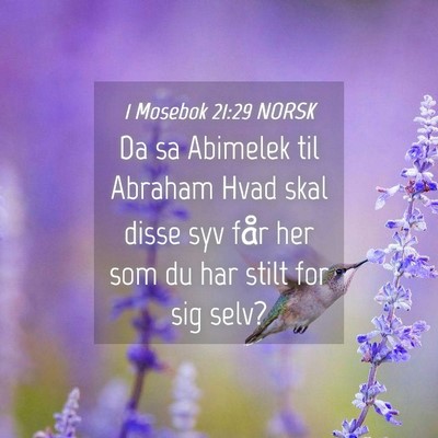 Picture 04 - 1 Mosebok 21:29 NORSK - Da sa Abimelek til Abraham Hvad skal disse syv - Bible Verse Picture