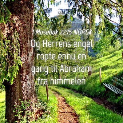 Picture 04 - 1 Mosebok 22:15 NORSK - Og Herrens engel ropte ennu en gang til Abraham - Bible Verse Picture