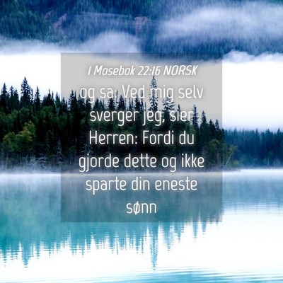 Picture 04 - 1 Mosebok 22:16 NORSK - og sa: Ved mig selv sverger jeg, sier Herren: - Bible Verse Picture
