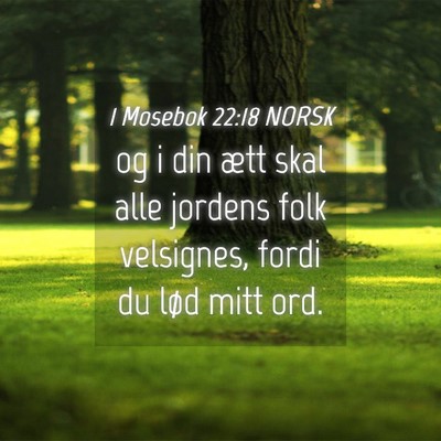 Picture 04 - 1 Mosebok 22:18 NORSK - og i din ætt skal alle jordens folk velsignes, - Bible Verse Picture