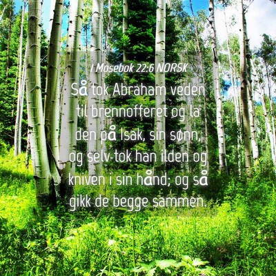 Picture 04 - 1 Mosebok 22:6 NORSK - Så tok Abraham veden til brennofferet og la den - Bible Verse Picture