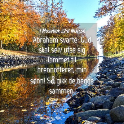 Picture 04 - 1 Mosebok 22:8 NORSK - Abraham svarte: Gud skal selv utse sig lammet til - Bible Verse Picture