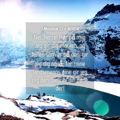 Picture 04 - 1 Mosebok 23:11 NORSK - Nei, herre! Hør på mig: Jeg gir dig marken, og - Bible Verse Picture