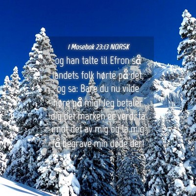 Picture 04 - 1 Mosebok 23:13 NORSK - og han talte til Efron så landets folk hørte - Bible Verse Picture
