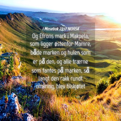 Picture 04 - 1 Mosebok 23:17 NORSK - Og Efrons mark i Makpela, som ligger østenfor - Bible Verse Picture