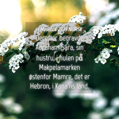 Picture 04 - 1 Mosebok 23:19 NORSK - Derefter begravde Abraham Sara, sin hustru, i - Bible Verse Picture