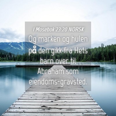 Picture 04 - 1 Mosebok 23:20 NORSK - Og marken og hulen på den gikk fra Hets barn - Bible Verse Picture