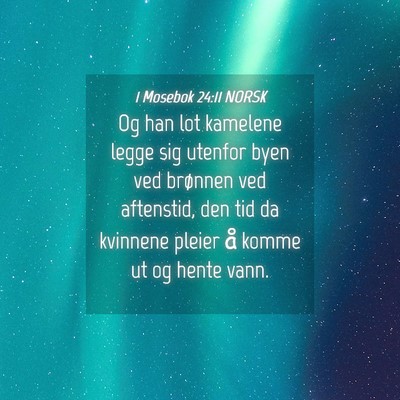 Picture 04 - 1 Mosebok 24:11 NORSK - Og han lot kamelene legge sig utenfor byen ved - Bible Verse Picture