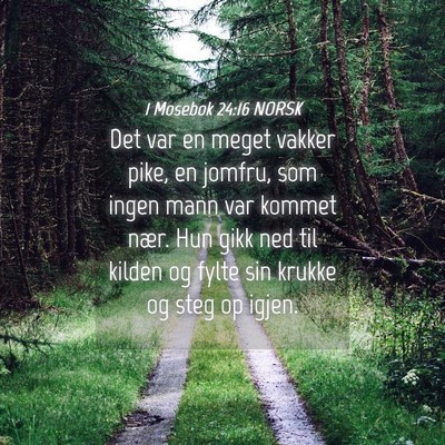 Picture 04 - 1 Mosebok 24:16 NORSK - Det var en meget vakker pike, en jomfru, som - Bible Verse Picture