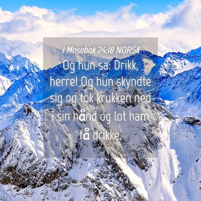 Picture 04 - 1 Mosebok 24:18 NORSK - Og hun sa: Drikk, herre! Og hun skyndte sig og - Bible Verse Picture