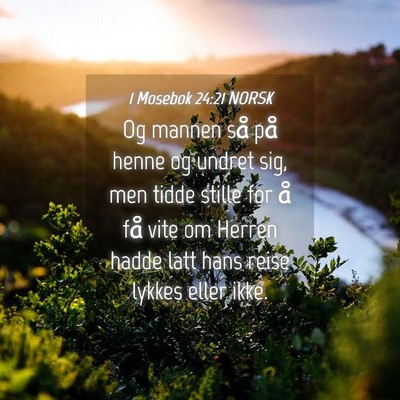 Picture 04 - 1 Mosebok 24:21 NORSK - Og mannen så på henne og undret sig, men tidde - Bible Verse Picture