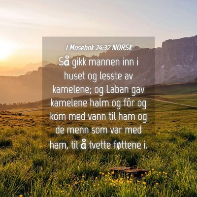 Picture 04 - 1 Mosebok 24:32 NORSK - Så gikk mannen inn i huset og lesste av - Bible Verse Picture