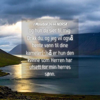 Picture 04 - 1 Mosebok 24:44 NORSK - og hun da sier til mig: Drikk du, og jeg vil - Bible Verse Picture