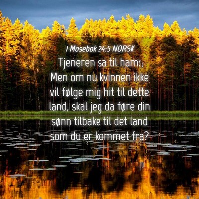 Picture 04 - 1 Mosebok 24:5 NORSK - Tjeneren sa til ham: Men om nu kvinnen ikke vil - Bible Verse Picture