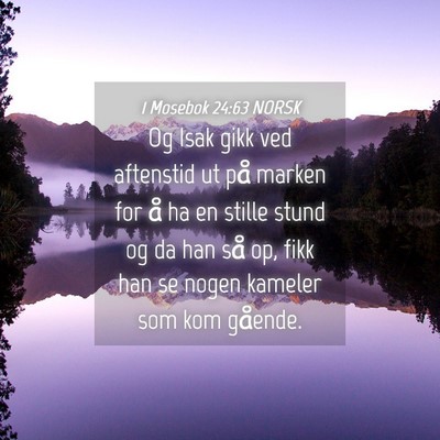 Picture 04 - 1 Mosebok 24:63 NORSK - Og Isak gikk ved aftenstid ut på marken for å - Bible Verse Picture