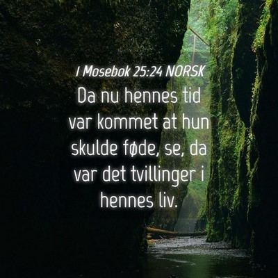 Picture 04 - 1 Mosebok 25:24 NORSK - Da nu hennes tid var kommet at hun skulde føde, - Bible Verse Picture