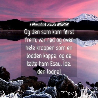 Picture 04 - 1 Mosebok 25:25 NORSK - Og den som kom først frem, var rød og over hele - Bible Verse Picture