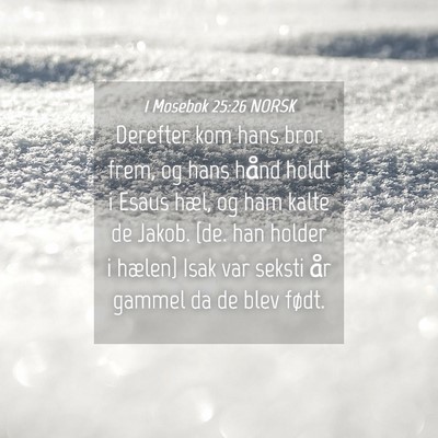 Picture 04 - 1 Mosebok 25:26 NORSK - Derefter kom hans bror frem, og hans hånd holdt - Bible Verse Picture