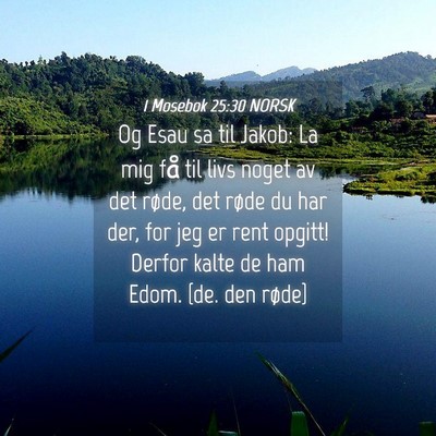 Picture 04 - 1 Mosebok 25:30 NORSK - Og Esau sa til Jakob: La mig få til livs noget - Bible Verse Picture