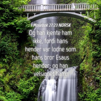 Picture 04 - 1 Mosebok 27:23 NORSK - Og han kjente ham ikke, fordi hans hender var - Bible Verse Picture