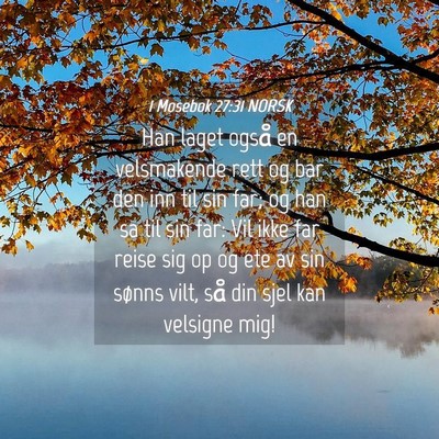 Picture 04 - 1 Mosebok 27:31 NORSK - Han laget også en velsmakende rett og bar den - Bible Verse Picture