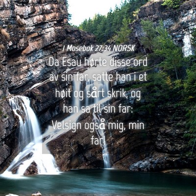 Picture 04 - 1 Mosebok 27:34 NORSK - Da Esau hørte disse ord av sin far, satte han i - Bible Verse Picture