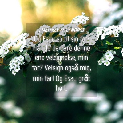 Picture 04 - 1 Mosebok 27:38 NORSK - Og Esau sa til sin far: Har du da bare denne ene - Bible Verse Picture