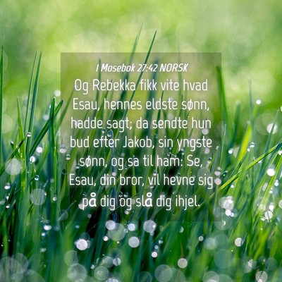 Picture 04 - 1 Mosebok 27:42 NORSK - Og Rebekka fikk vite hvad Esau, hennes eldste - Bible Verse Picture
