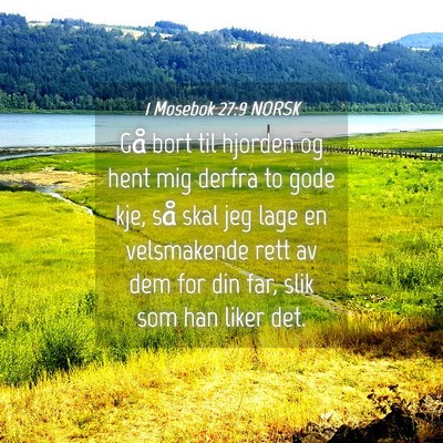 Picture 04 - 1 Mosebok 27:9 NORSK - Gå bort til hjorden og hent mig derfra to gode - Bible Verse Picture