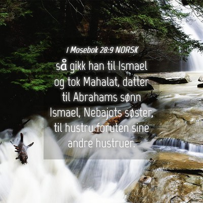Picture 04 - 1 Mosebok 28:9 NORSK - så gikk han til Ismael og tok Mahalat, datter - Bible Verse Picture