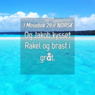 Picture 04 - 1 Mosebok 29:11 NORSK - Og Jakob kysset Rakel og brast i - Bible Verse Picture