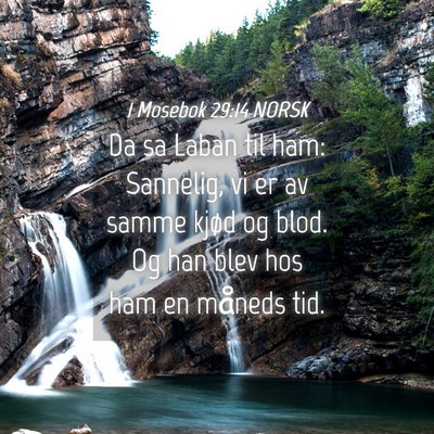 Picture 04 - 1 Mosebok 29:14 NORSK - Da sa Laban til ham: Sannelig, vi er av samme - Bible Verse Picture