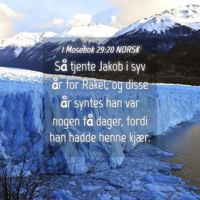 Picture 04 - 1 Mosebok 29:20 NORSK - Så tjente Jakob i syv år for Rakel; og disse - Bible Verse Picture
